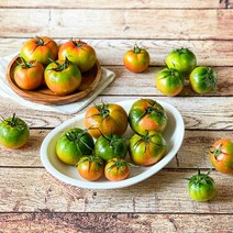 [푸드맛봄] 김해 짭짤한 토마토 2.5kg 2S 소과(55g~80g미만) /2월13일부터순, 상세 설명 참조