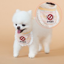 간식금지 스카프 산책와펜 강아지메세지택, M