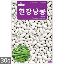적작두콩 씨앗 10립 - 씨 작두콩씨앗 작두콩씨 작두콩 콩씨앗 콩씨 텃밭 주말농장, 22_흰강낭콩(30g)