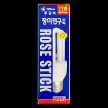 신광 장미전구 11W(주광색)