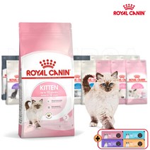로얄캐닌 캣 키튼 2kg 생후12개월까지 소화기건강 면역관리 어린고양이사료, 크리미간식 증정, 25년 2월