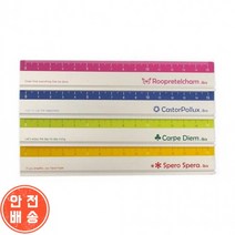아이비스 1000 15cm 알루미늄 직자(SP) 08759, 단품
