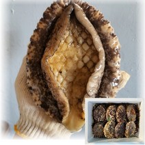 산지직송 국산 통영 자연산 전복 활전복 1kg 해녀가 직접 잡은 대 특대 왕특대 스페셜, 2_1. 특대 전복 500g(3~4미)