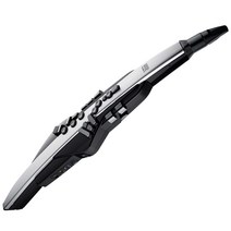 롤랜드 AE30 전자색소폰 에어로폰 프로 공식수입정품, 단품