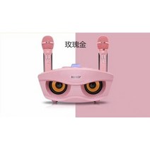가정용노래방기계 차량용 코인노래방 오락실 SD306Plus30W 듀얼 무선 마이크 통합, 분홍