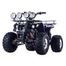 ATV 사륜 구동 오프로드 오토바이 가솔린 125cc 카트, 패키지1 6인치 2.5L 플라스틱 주유통