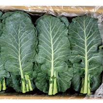 야채왕 케일 중량별 500g 1kg 2kg 1박스 ( 실중량 1.8k - 2.0k ), 1개
