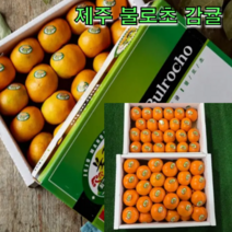 제주 불로초 감귤 1.5kg 3kg 탱글과육 새콤달콤 조생 감귤 하우스 귤