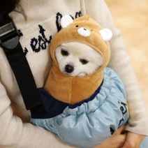 애견의류 패리스독 캐릭터 웜 가운, 베어