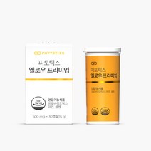 피토틱스 옐로우 프리미엄 유산균 15g, 1개