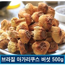 아가리쿠스 버섯 500g 고급식재료 건조 중국 운남성 야생 송이, 1set