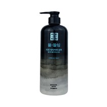 LG생활건강 리엔 물:들임 새치커버 샴푸 550ml+80ml/흑갈색