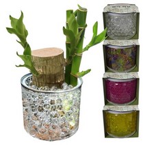 수경재배 투명볼 잴리화분 씨앗키우기, 젤리화분 혼합