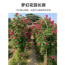 정원 가든아치 단독주택 꾸미기 아치 꽃 스탠드 철제 등나무 장미 포도 브래킷 야외 지원 선반, [54] 보강옆폭 50CM 스팬 5.0x높이 2.67, [01] 중간