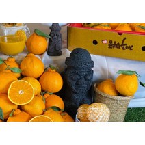 제주도 조생귤 귤 감귤 고당도 중대과 꼬마과 로얄과 3kg-10kg, 서귀포 조생 귤 중대과 3kg