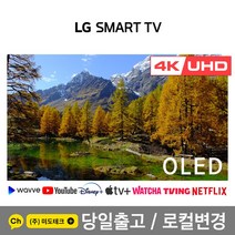 LG전자 83인치 4K UHD 스마트 TV OLED83C1 / 올레드 티비, 4. 지방권역 벽걸이 +상하브라켓