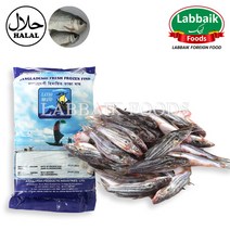 MIRAE Frozen Fresh Gulsh Fish 1kg 신선한 굴샤 피쉬 (방글라데시 산) 생선, 1개