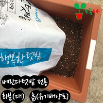 베란다텃밭 (A화분+B흙) ~모종114 상토 분갈이 텃밭 쌈채소 모종 화분 배양토