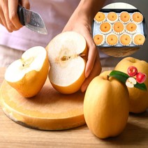 프리미엄 명품 배 선물세트 추석, 상_7.5kg (8~12과)+보자기포함