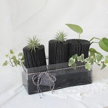 [천연가습기] 천연가습기 참숯 삼형제 제습 가습효과 백탄 참숯