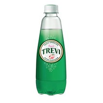 칠성 스파클링 탄산 제로 트레비 5종 복숭아 피치 에이드 무설탕 음료 300ml 20개, 2세트