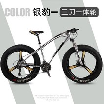 팻바이크 입문용 오프로드 MTB 자전거 20 24 26인치, 27단, 20인치, 실버(3 나이프 휠)