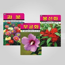 슬로시 꽃 씨앗 모음 꽃씨 허브 허브씨, 풍접초200립(아람)