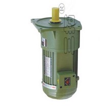3상유도전동기 단상모터 0.2kW AC 220V 380V 3 상 중형 기어드 모터 저속 대형 토크 수직 설치 산업용 교반, 12 20rpm