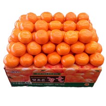 자체브랜드 타이팩 비가림 감귤 5kg, 밀감 M크기