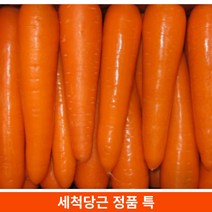 당일배송제주당근 가성비 좋은 제품 중에서 다양한 선택지를 확인하세요