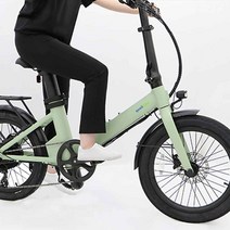 퀄리 Q시티 퍼포먼스 48V 500W 15Ah 전동 전기자전거, 베이지