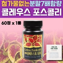 콜레우스 포스콜리 추출분말, 60정, 1통