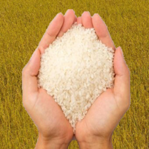 강진참세상 유기농인증 친환경 쌀 현미 10kg. 20kg