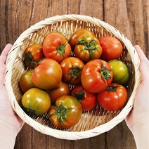 부산 대저 짭짤이 토마토 2.5kg 로얄과 고당도 특품, 2L-특대과(2.5kg)