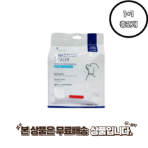 아나브러쉬 일반두상용 치석제거용 개껌 10p 1+1 총 2개 빠른배송, 일반두상용 (개별포장) 10개x 2 총 20개