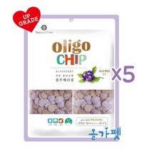 네츄럴코어 올리고칩 강아지간식 250g 5봉 + 크래커, 4. 블루베리