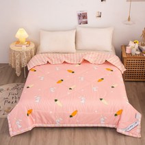 록신 에어컨 이불 기계 빨 수있는 피부 친화적 얇은 이불