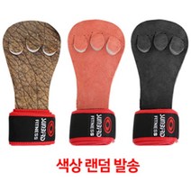 나nanr_썬버드 3구 헬스 역도 장갑 850 밴드부착형 랜덤 벤치 그립운동장갑 다용도 프레스 용품♥sksnfll, ♥sstarting