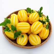 세상모든농부 고당도 성주 참외 꿀참외 가정용, 가정용 참외 2kg 중과