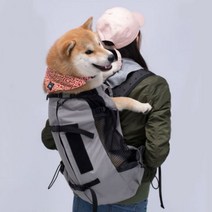 강아지 포대기 대형견 배낭형 이동가방 백팩 애견 앞가방, 날개형, 그레이