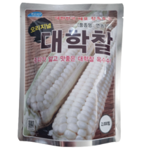 연농1호 대학찰 옥수수 씨앗 찰옥수수 종자 2000립, 대학찰옥수수, 1개