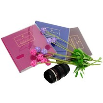 TTW3CE367 문구 17000 사진접착 사진첩 심플칼라앨범15매 성장앨범 사진분류 오피스용품 가족앨범 사무용품 사진정리집 결혼앨범, 갈색