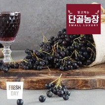 고창 프리미엄 아로니아 생과 10kg 산지직송