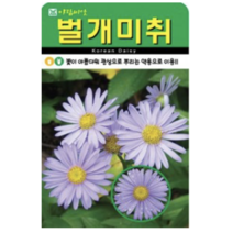 보람농자재 벌개미취 씨앗 [500립 5000립], 5000립