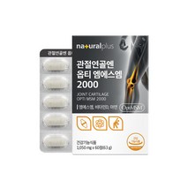 플러스 관절연골앤옵티엠에스엠2000 60정 관절연골앤 옵티엠에스엠msm, 1개