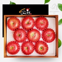 [웰굿]경북 정성담은 명품 사과선물세트 3kg(9과내), 1개
