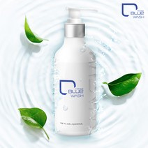 더트블루 올인원워시, 290ml, 1개
