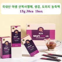 천수인 자연산 야생 개복숭아 생강스틱 15g 30포 목이 간지럽고 칼칼할때 목에 좋은 목건강영양제, 1박스, 15gx30포
