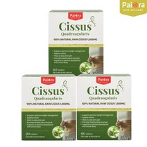 뉴질랜드 파이오라 시서스 알약 시저스 3개월분 CISSUS 시서스추출물 1000mg, 90정, 3박스