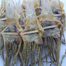 울릉도 남양동 당일잡이 마른 오징어 다리(특대) 200g, 1개